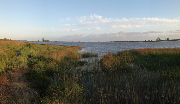 Santa Lucía River, the main water intake for purification that supplies Montevideo and Ciudad de la Costa. 