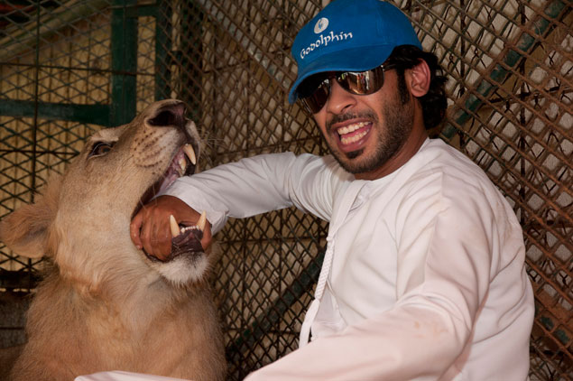 Emiratos Árabes ponen de moda tener animales salvajes en casa pese a  alertas - Noticias Uruguay, LARED21 Diario Digital