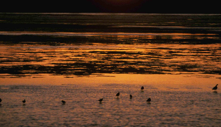 Fotografía de la Laguna del Sauce, al atardecer. Foto: Carlos Loría - LARED21. 