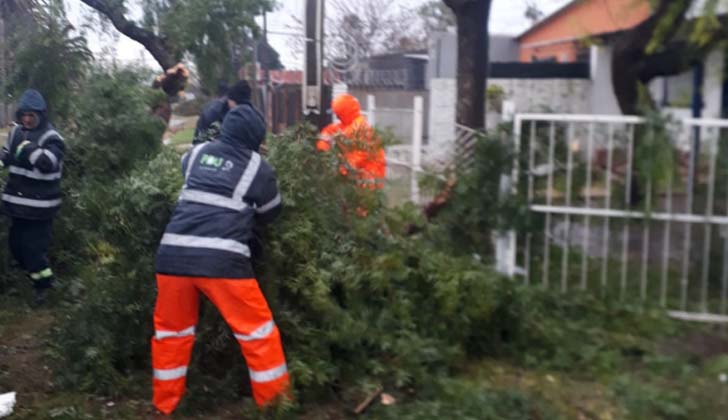 Turbonada en Paysandú deja al menos 32 personas heridas y cuantiosos daños materiales