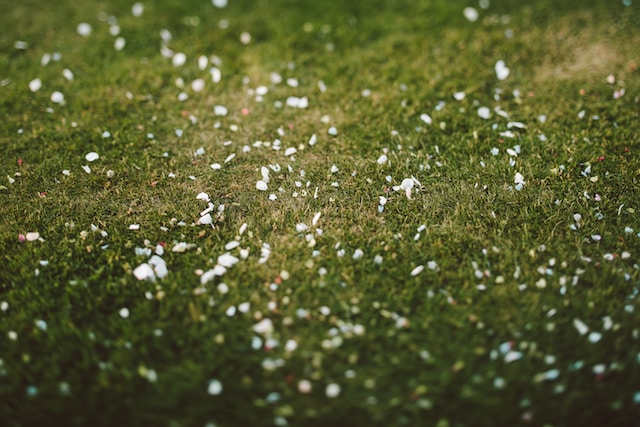 Podría caer graupel en Uruguay, conocido como "agua nieve" en Argentina. 