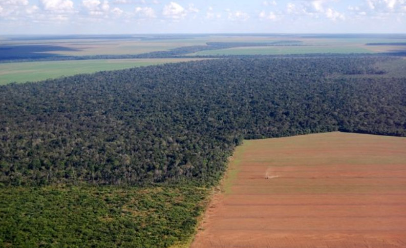 Deforestación por ganadería en el Amazonas de Brasil.