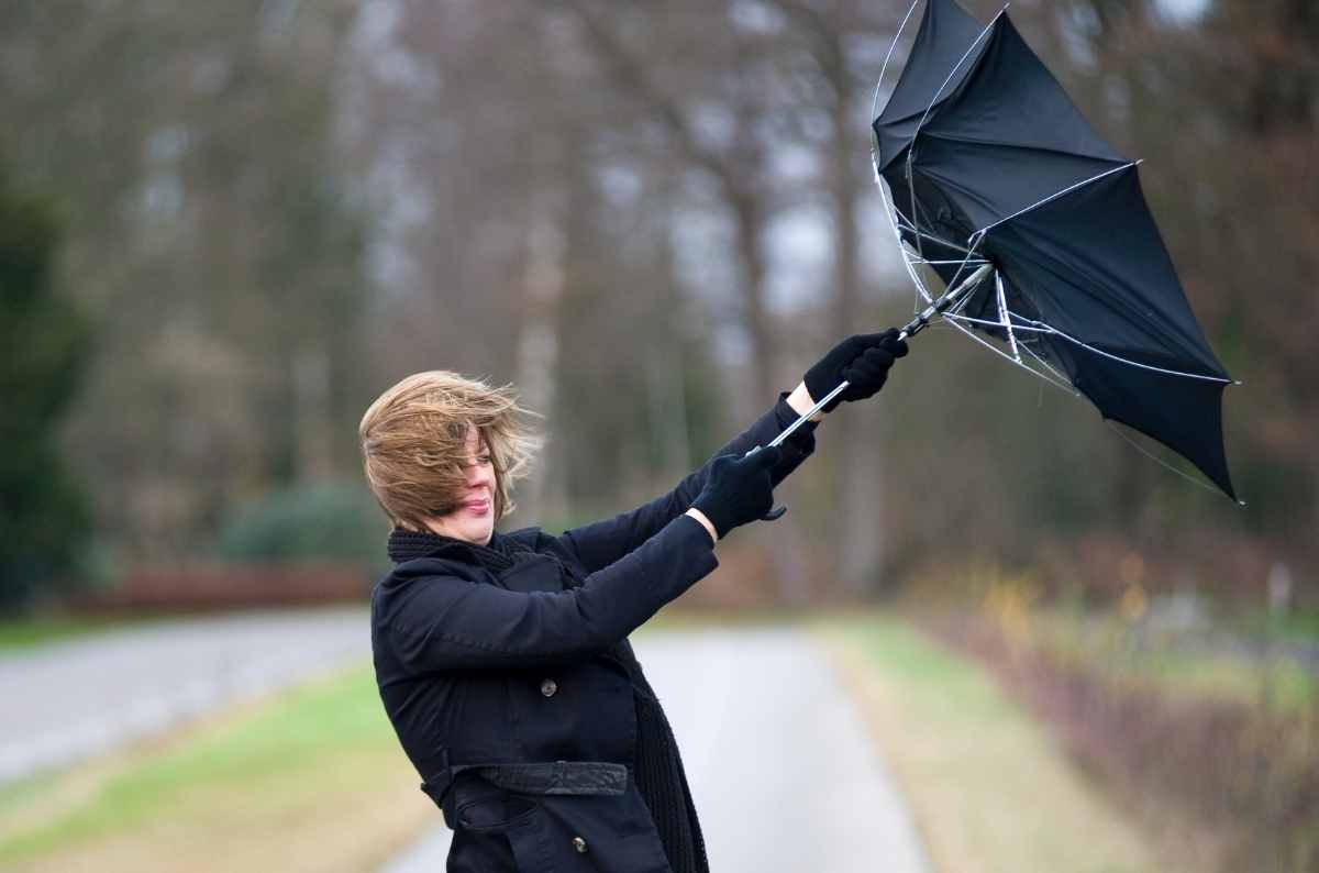 Se viene la Tormenta de Santa Rosa