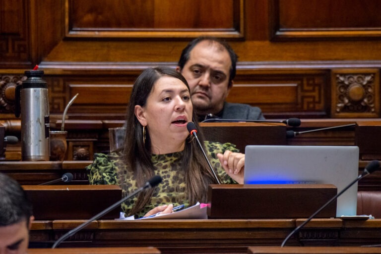 Bettiana Díaz, diputada del Frente Amplio