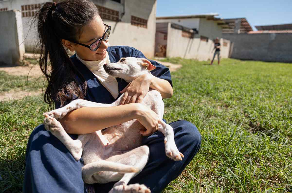 Animal rights defenders promote the adoption of stray or abandoned dogs, over purebred dogs from breeders.