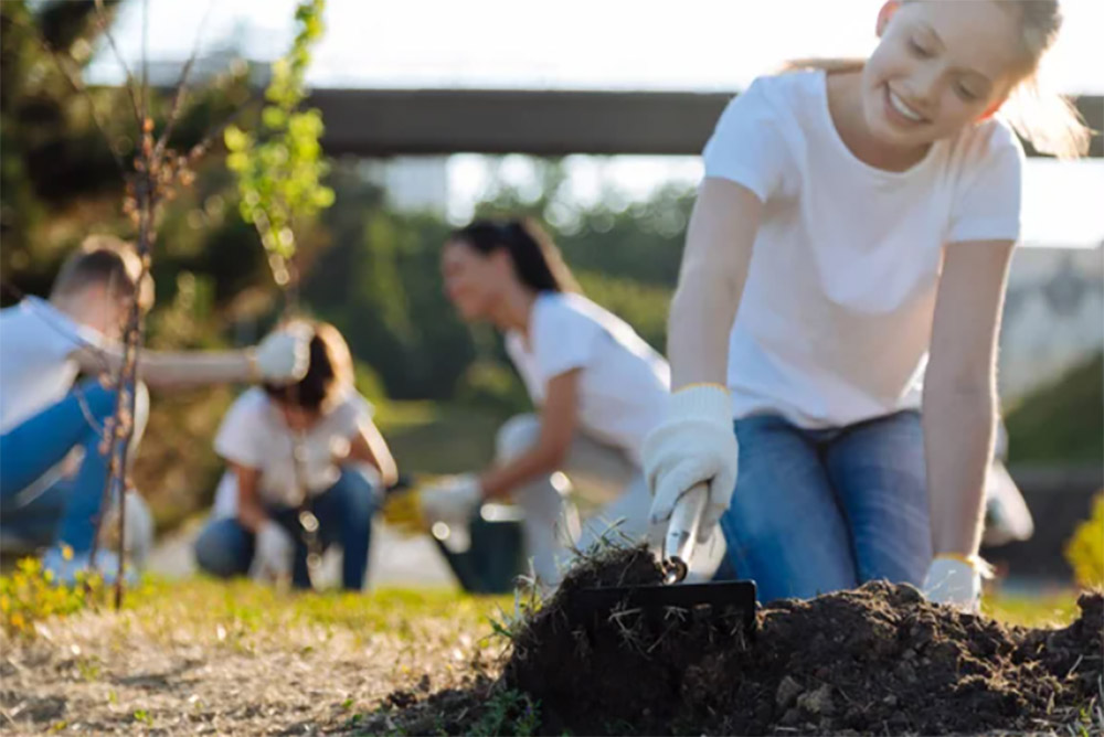 Imagen ilustrativa de una acción subvaluada por la población. ¿Qué crees que pasaría si todos en el planeta plantaramos 1 árbol por semana?