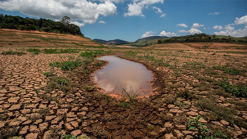 Imagenes de la grave sequía en del río amazónico.