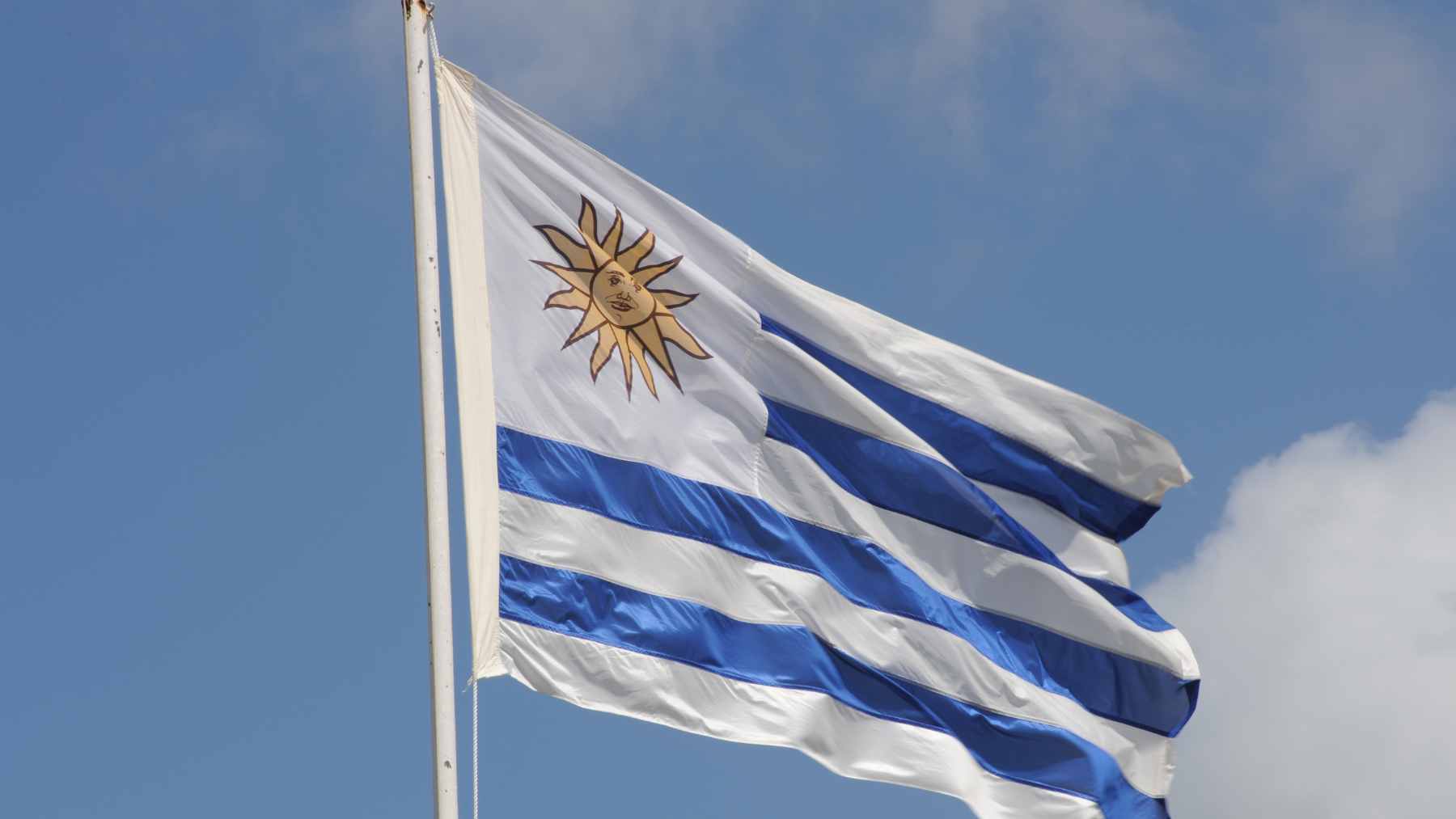 uruguay bandera elecciones 2024