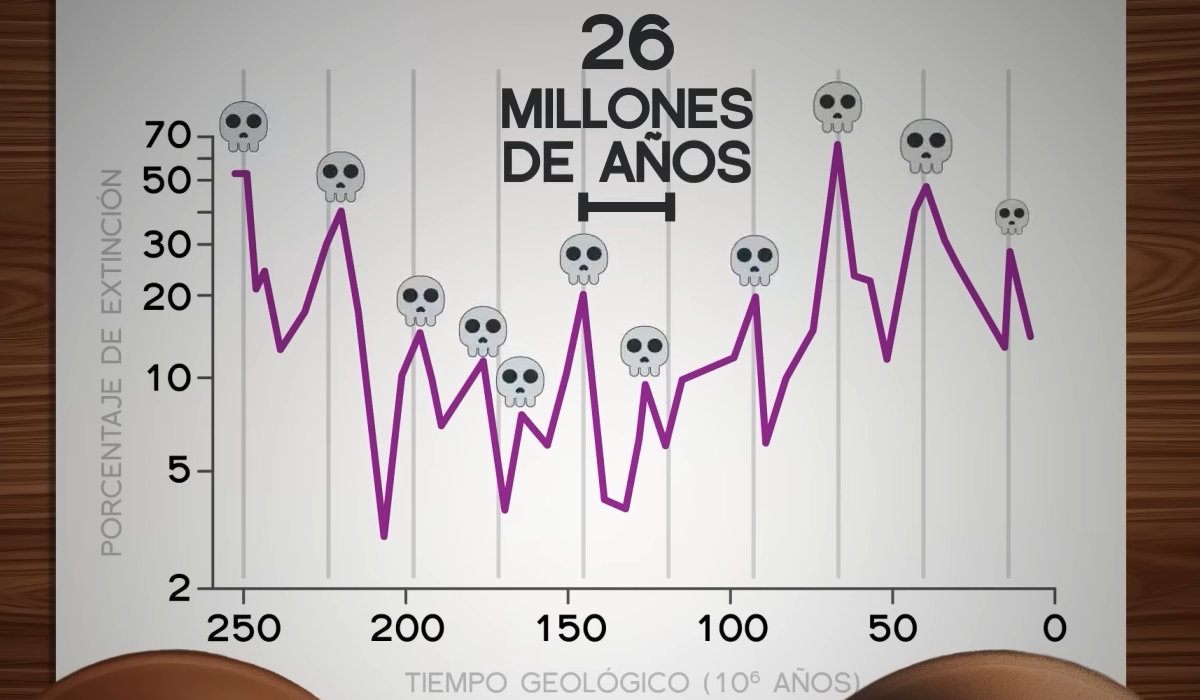 Una observación intrigante es que parece existir un patrón en la ocurrencia de algunas de estas extinciones masivas: se repiten aproximadamente cada 26-32 millones de años.