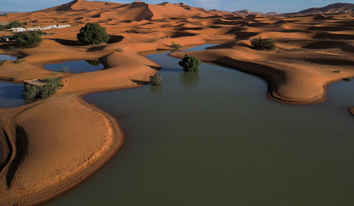 El desierto de Marruecos (parte del Sahara) se inundó al comienzo de octubre por primera vez en más de medio siglo.