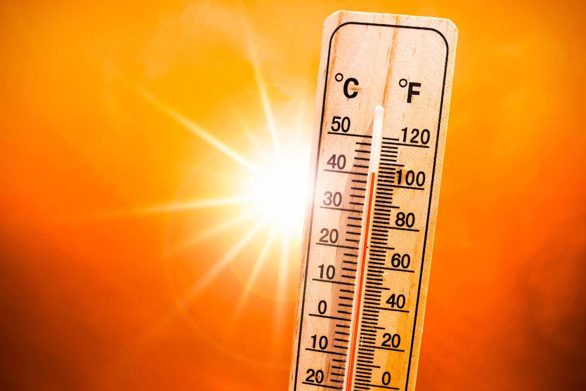 calor extremo uruguay noviembre 2024