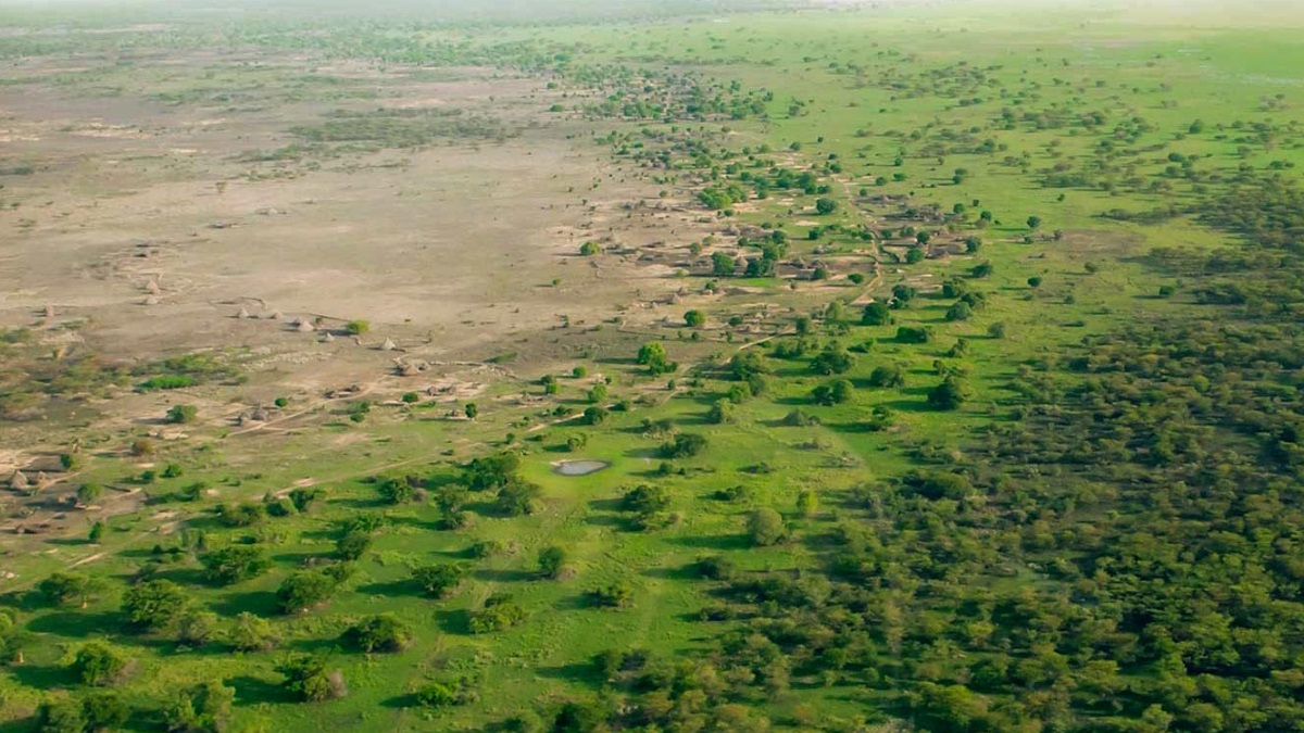 La expansión de las tierras áridas amenaza la seguridad alimentaria mundial y exige acciones urgentes para mitigar el cambio climático.