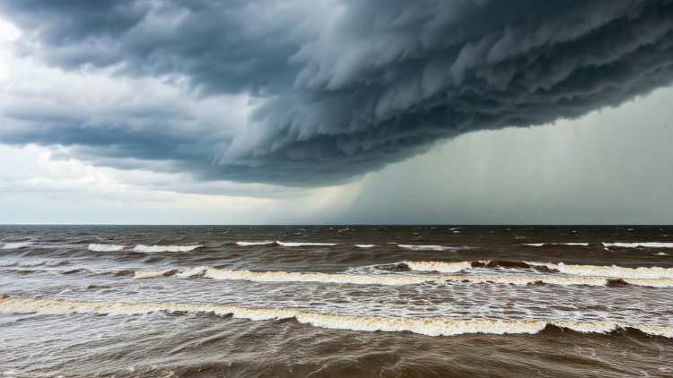 Montevideo y el Área Metropolitana se preparan para un día ventoso: ¿Hay lluvias en el horizonte?